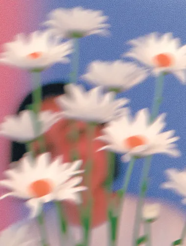 Abstract Portrait of Daisies Abstract Portrait of Daisies