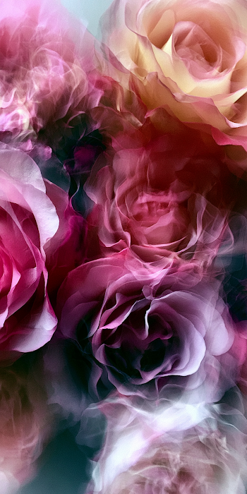 Abstract Realism Roses