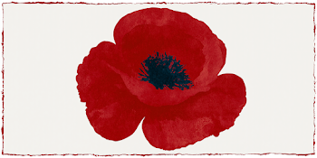 Abstract Red Poppy Flower