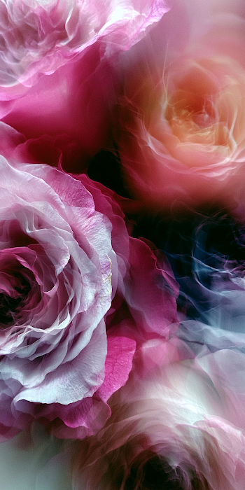 Abstract Roses in Soft Hues
