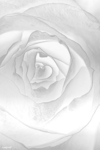 Abstract silver flower background design | Free  illustration - 2351258