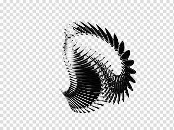 Abstract Spine D Render Free for commercial use, black and gray headband transparent background PNG clipart