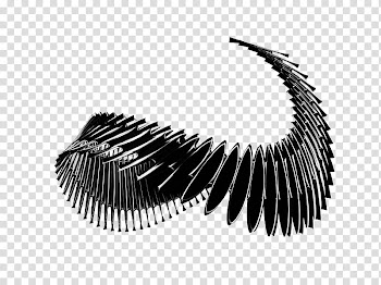 Abstract Spine D Render Free for commercial use, black spiral artwork illustration transparent background PNG clipart