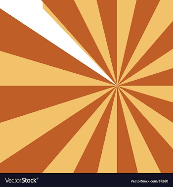 Abstract starburst design vector image