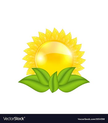  					Abstract sun with green leaves isolated on white vector image														