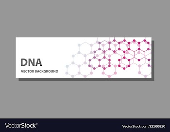 Abstract technology science concept dna vector image