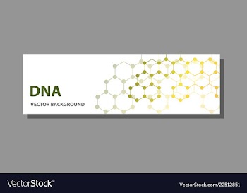 Abstract technology science concept dna vector image
