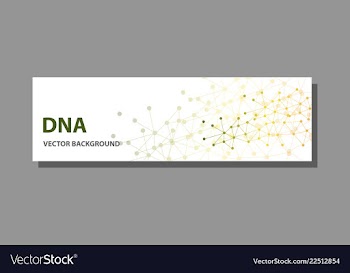 Abstract technology science concept dna vector image