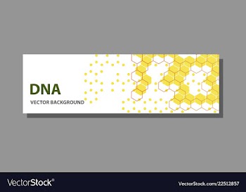 Abstract technology science concept dna vector image