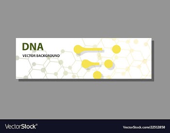 Abstract technology science concept dna vector image