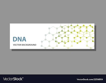 Abstract technology science concept dna vector image