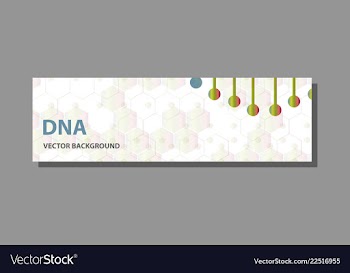 Abstract technology science concept dna vector image