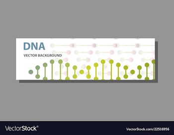 Abstract technology science concept dna vector image