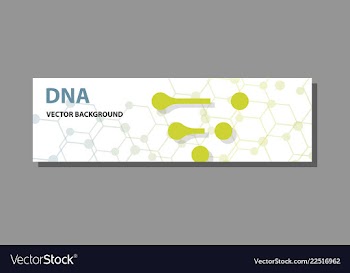 Abstract technology science concept dna vector image