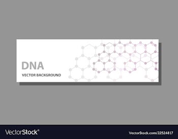 Abstract technology science concept dna vector image