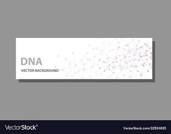Abstract technology science concept dna vector image