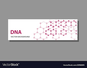 Abstract technology science concept dna vector image