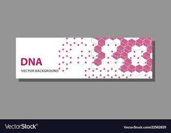 Abstract technology science concept dna vector image