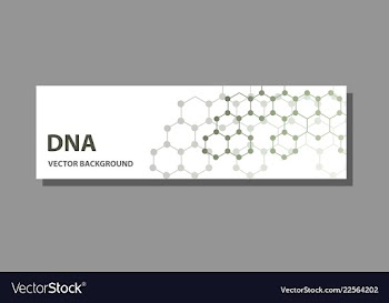 Abstract technology science concept dna vector image