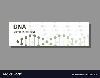 Abstract technology science concept dna vector image