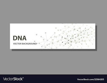 Abstract technology science concept dna vector image