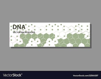 Abstract technology science concept dna vector image