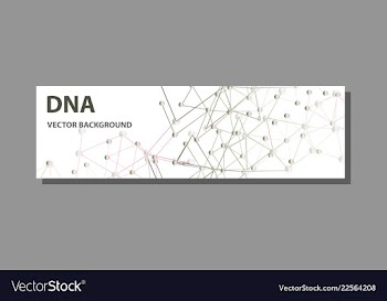 Abstract technology science concept dna vector image