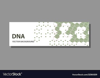 Abstract technology science concept dna vector image