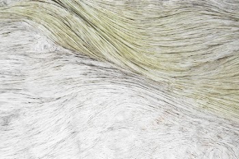 Abstract texture, artificial fur carpet | Free Photo - rawpixel
