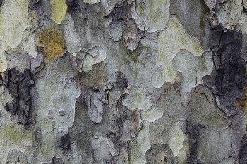 Abstract texture background. Free public | Free Photo - rawpixel