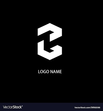 abstract typographic t and s modern logo