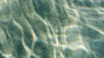 Abstract water ripple pattern in a swimming pool with a sun reflection | Free  photo - 2309609