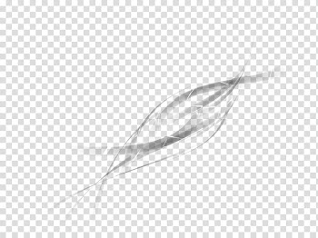 Abstract Wave II Brushes, grey lines transparent background PNG clipart