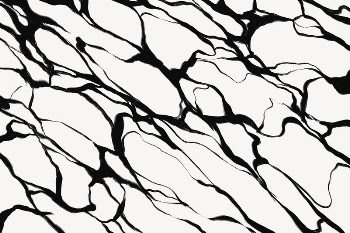 Abstract wavy background, black and | Free Photo - rawpixel