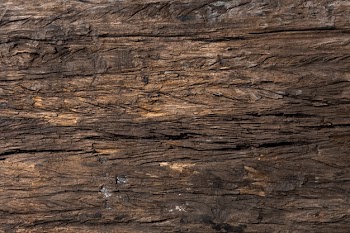 Abstract wooden seamless texture background Free Photo