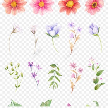 Abziehtattoo Flower Temporary Tattoos Body art - advice watercolor 