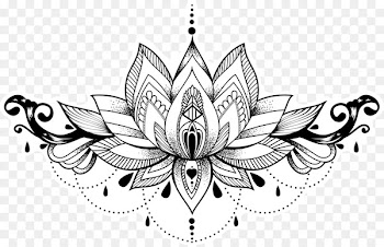 Abziehtattoo Nelumbo nucifera Henna Drawing - mandalas 