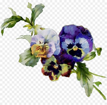Abziehtattoo Pansy Flash Violet -  