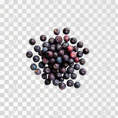 Acai Berries: A Fresh Focused Photoshoot Experience