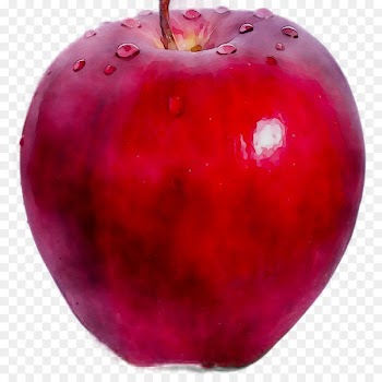 Accessory Fruit, Magenta, Fruit, European Plum PNG