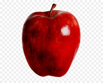 Accessory fruit McIntosh Laboratory RED.M -  
