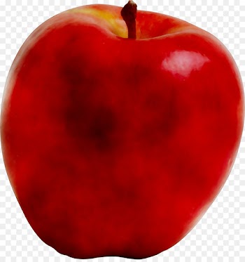 Accessory fruit McIntosh Laboratory RED.M -  