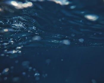 Accidental shot during a dive in El Nido - Phillipines.