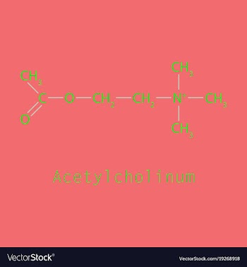 Acetylcholine is an organic chemical that vector image