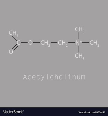 Acetylcholine is an organic chemical that vector image