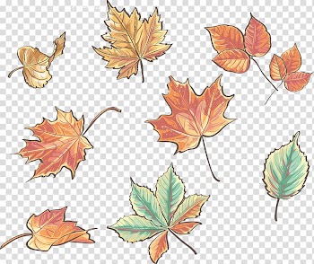 Acorn, acorn transparent background PNG clipart