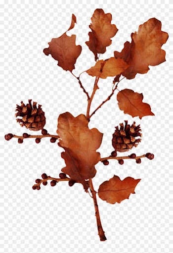 Acorn Autumn Clip Art - Acorn Autumn Clip Art