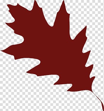 Acorn , branches and leaves transparent background PNG clipart