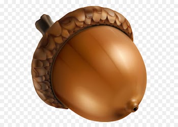 Acorn Clip art - Acorn PNG Clipart Image 