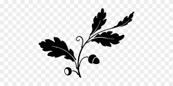 Acorn Drawing Leaf White Oak Tree - Oak Leaf Clip Art Silhouette